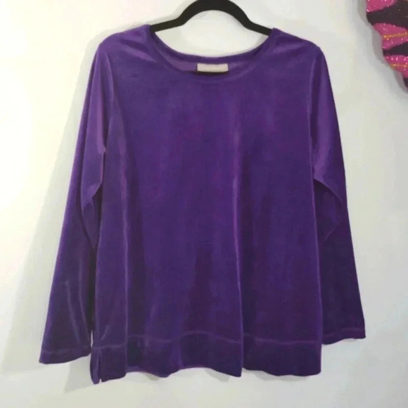 Woman Within Royal Purple Velvet Top Long Sleeve Notch Hem Soft Cozy See Sizing - Picture 1 of 16